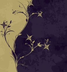 1216 Light And Dark